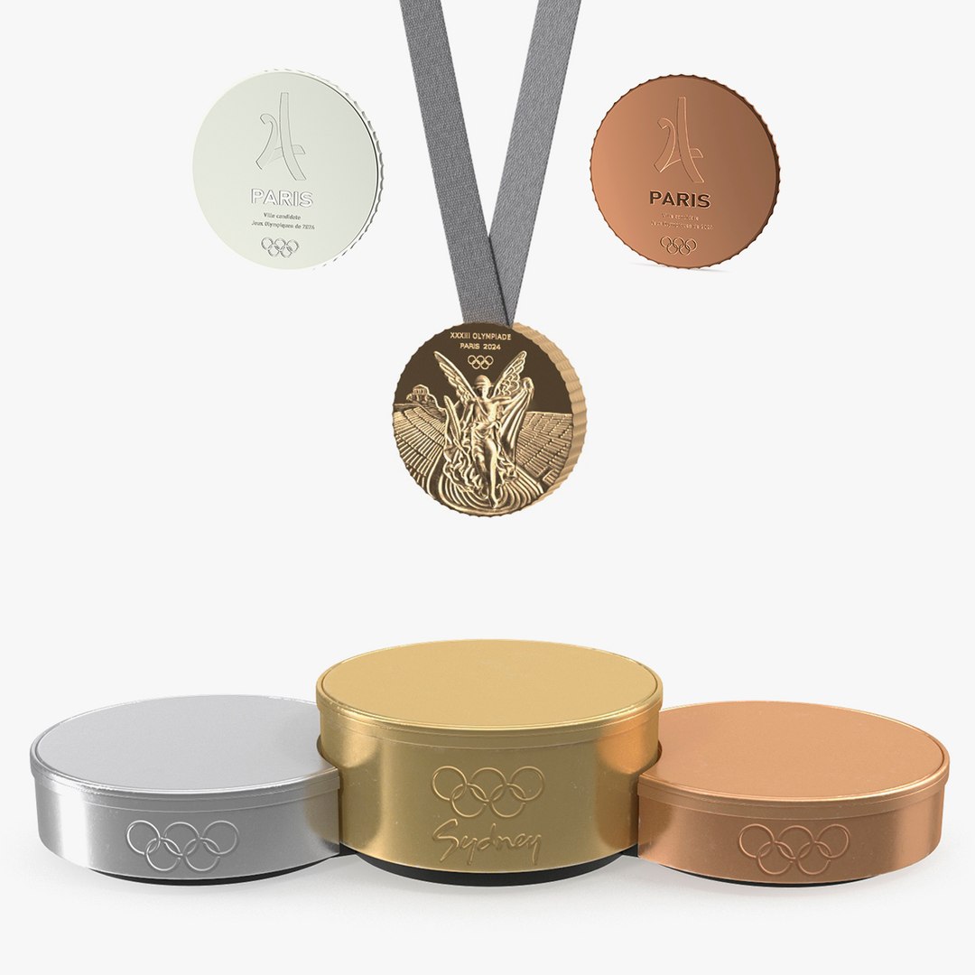 projet angular spa animation graphique